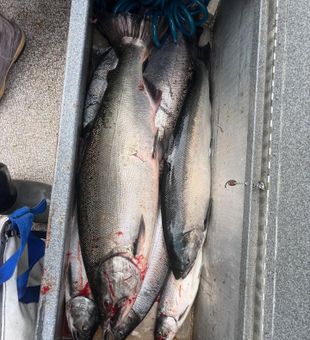 Fresh lines, cool air, and classic Tillamook fishing.