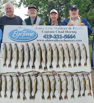 Fantastic Lake Erie Walleye limits!