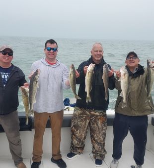 Rainy Lake Erie Walleye grind!