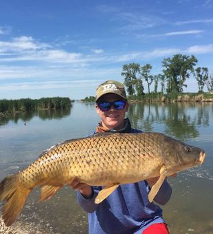 Carp Hooked in the Heart of Manitoba