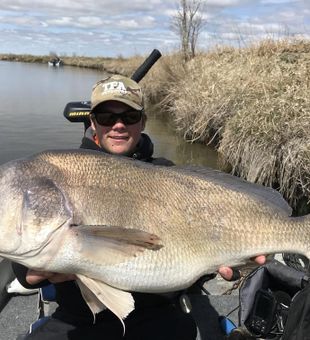 Perfect Day for Fishing Manitoba- Freshwater Drum