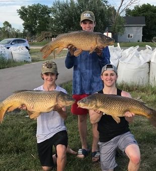 Big Fish, Bigger Memories
