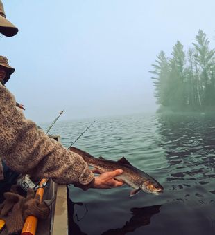 Beautiful bull trout from Saranac Lake!