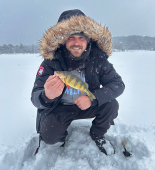 Adirondack yellow perch caught through the ice!