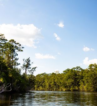 Perfect fishing waters await in Bagdad FL on the Yellow River