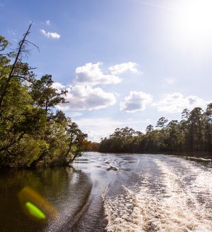 Prime fishing waters flowing through yellow river FL wilderness.