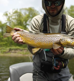 Streamer Fishing Pennsylvania 