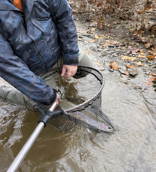 Net fishing in shallow waters on a cloudy day - perfect conditions for an exciting adventure!