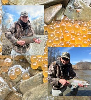 Lake Erie rainbow trout fishing.