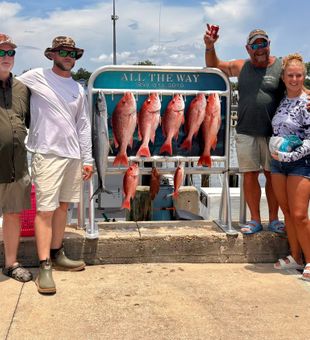 Red snapper hitting hard in PCB waters