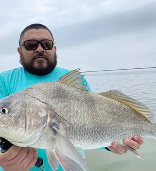 Drum from South Padre Island