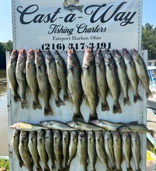 Cast-A-Way Fishing Charters