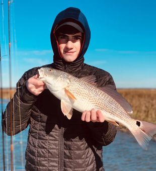 Beautiful Redfish from Charleston, SC