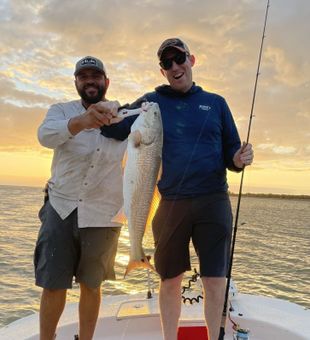 Crystal River Fishing Charters Striped Bass catch!