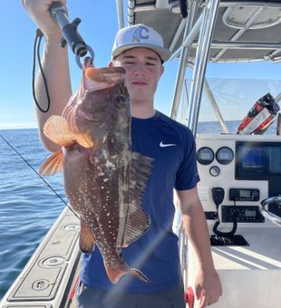 Fishing Crystal River FL Groper Catch!