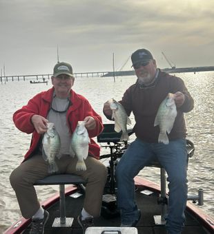 Springtime Mississippi crappie fishing delivers strong bites, healthy fish, and unforgettable days on the water.