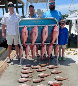 Colorful red snapper haul!