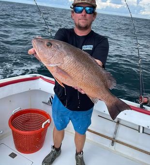 Spend the day exploring productive Gulf waters with a crew that knows where the fish are.