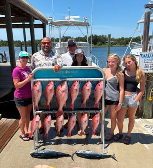 Good vibes and tight lines in PCB.