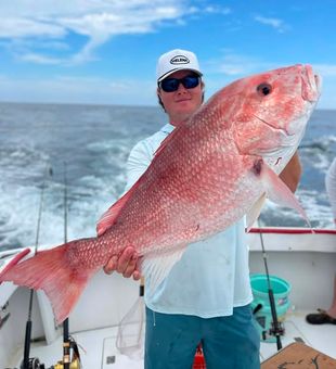 Leave the beach behind and experience the excitement waiting offshore.