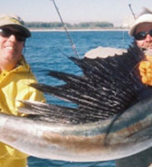 Sailfish, Offshore fishing charter 2023