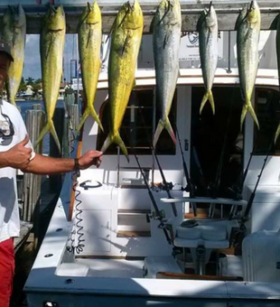 Florida Deep Sea Fishing Charters