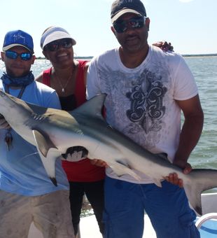 Beautiful blacktip shark landed in Merritt Island waters!