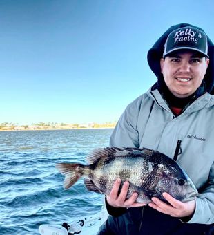 Black Drum catch at Orange Beach - a beauty!