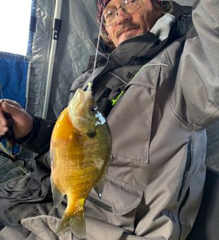 Catching perch at Pymatuning today.