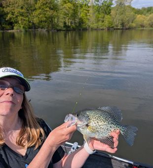 Wilhelm Crappies Were Hungry