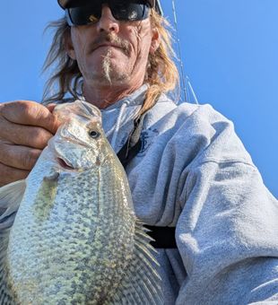 Reeling in crappie on a calm morning at Pymatuning Lake