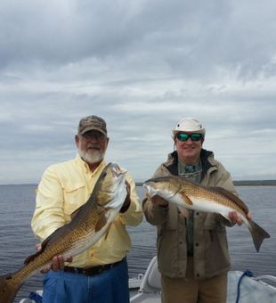 Inshore Fishing For Red Drum in Florida!