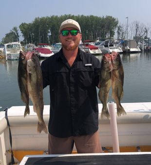 Time to schedule your walleye trip at Lake Erie