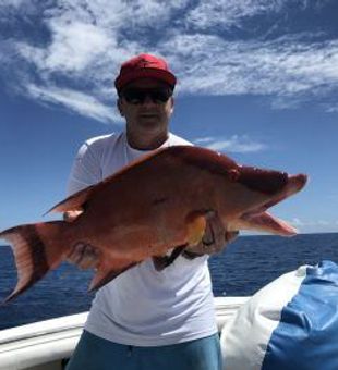 Large Hogfish in North Carolina