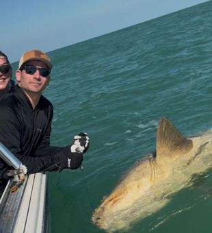 Massive Goliath grouper at the boat!