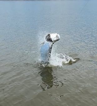 Big game fishing charter in Marco Island, FL delivering world-class action.