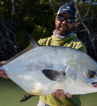 Tailfin Expeditions