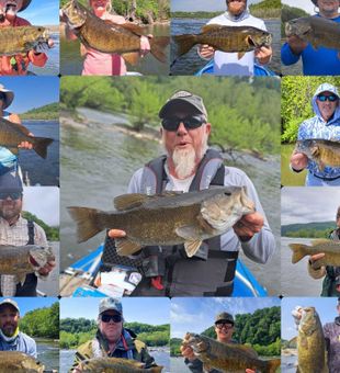 Potomac River Fishing Charter Smallmouth Bass!