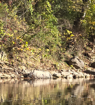 Perfect conditions for jigging and fly fishing. Weather turning cloudy - great for afternoon fishing.