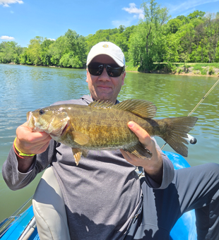 Beautiful Potomac River smallmouth bass makes the day!