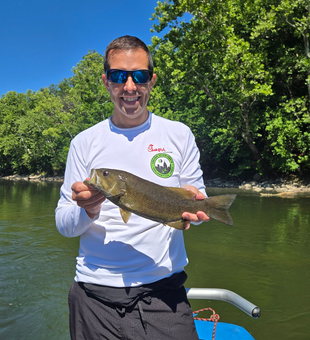 Beautiful Potomac River smallmouth bass caught today!