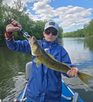 Beautiful Potomac River walleye makes for perfect fishing day!