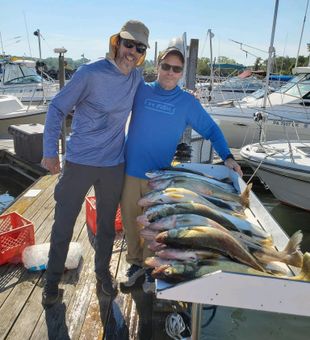 Lines out, fish in the boat