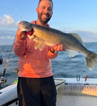 Sunset Lake Erie Walleye!