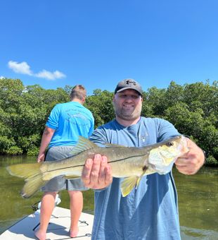 Snook fishing in St. Petersburg florida 