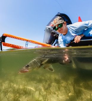 Clean release on a largemouth bass — shallow-water bass fishing action