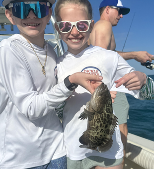 Beautiful gag grouper caught trolling off Clearwater Beach!
