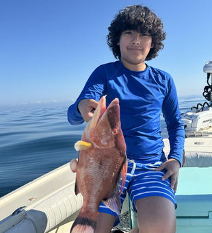 Beautiful Clearwater hogfish makes for an amazing catch!