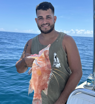 Hogfish hooked during a partly cloudy day with storm potential!