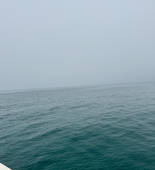 Trolling the waters off Clearwater Beach Florida.